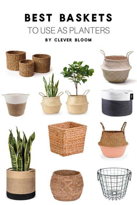 Forget the fact that pretty much every decor style uses baskets. Baskets are a perfect way to cover ugly nursery pots or switch up your your style in seconds. Take a look at the best baskets to use planters. #houseplants #houseplantclub #basketdecor #baskets #planters Planter Baskets Indoor, Basket Pots For Plants, Plants In Baskets Indoor, Basket Planters Indoor, Costal Decoration, Indoor Planters Pots, Tall Indoor Plants, Indoor Plants Low Light, Basket Plant