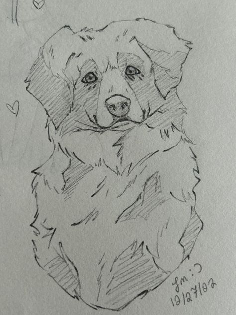 Australian Shepherd Outline, Australian Shepherd Sketch, Aussie Drawing, German Shepherd Sketch, Australian Shepherd Art, Australian Shepherd Drawing, Australian Puppies, Pitbull Drawing, Wolf Sketch