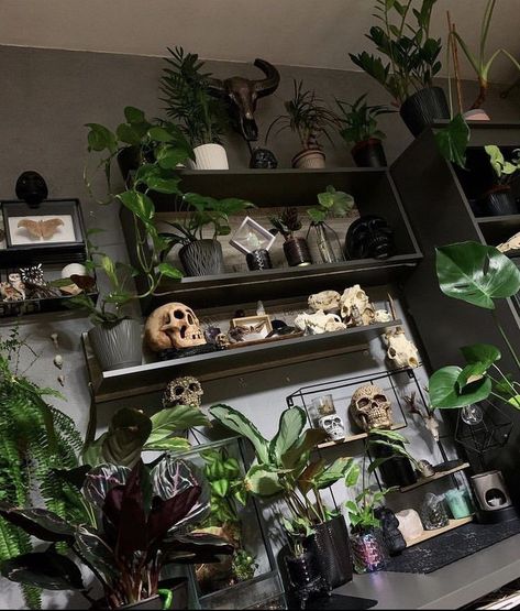 Collector Home Decor, Spooky Plant Aesthetic, Spooky Aesthetic Living Room, Plant Room Dark Academia, Plant Witch Aesthetic Room, Forest Bedroom Aesthetic Grunge, Goth Office Aesthetic, Tropical Goth Bedroom, Small Goth Apartment Ideas