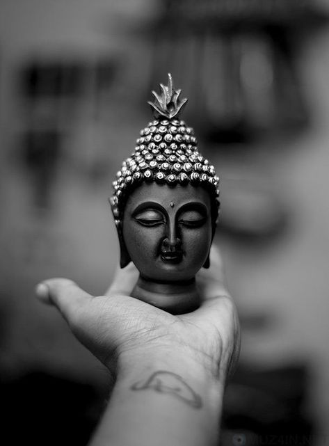 Buddha Wallpapers, Buddha Wallpaper, Gautam Buddha, Black Iphone, Hd Wallpaper, Buddha Statue, Zen, Statue, Wallpapers