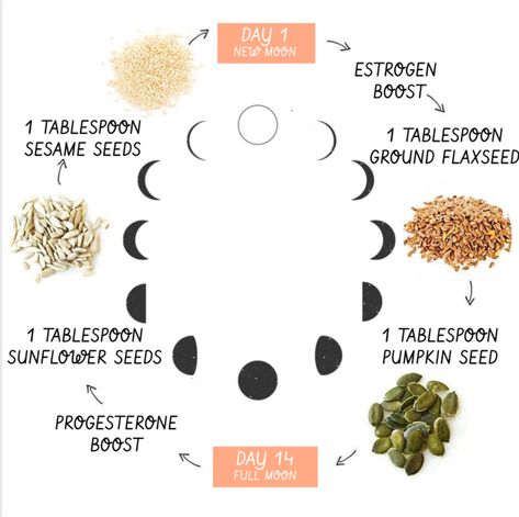 Moon Cycling Period, Purple Moon Cycle Period, Period Cycling, Seed Cycling Hormones, Hormone Cycling, Cycle Eating, Seed Cycle, Cycle Health, Cycling Food