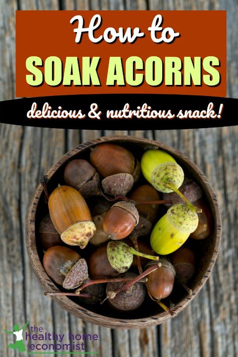 How to Soak Acorns. A Delicious (and Free!) Snack | Healthy Home Economist Eating Acorns, Food Dehydration, Healthy Foods To Make, Wild Food Foraging, Native Foods, Snack Healthy, Cooking Basics, Free Snacks, Healthy Sweets Recipes