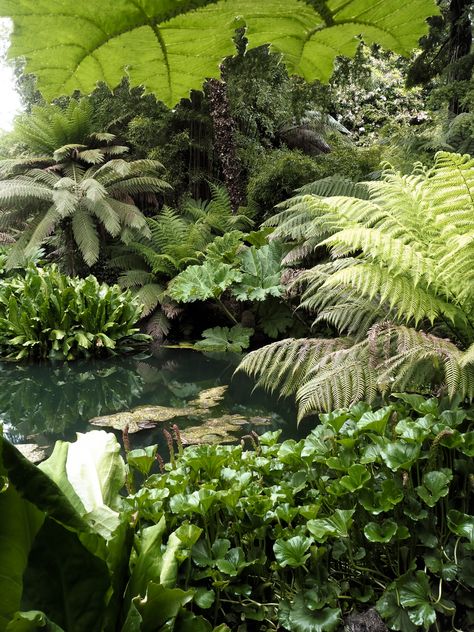 The Lost Gardens of Heligan — Design Hunter Lost Gardens Of Heligan, Gardens Of Babylon, Lost Garden, The Giant Peach, Tree Fern, Cornwall, Lush, Places To Visit, Home And Garden