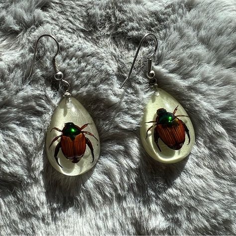 Real beetle earrings - brand new never worn! Potato Beetle, Beetle Jewelry, Beetle Earrings, Bug Jewelry, Band Au, Funky Jewelry, Dangly Earrings, Beetles, Wedding Looks