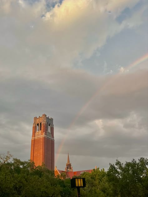 Colleges In Florida, Gainesville Florida, College Aesthetic, Dream College, Freshman College, Dream School, Aesthetic Sunset, New Year New Me, Pretty Sky