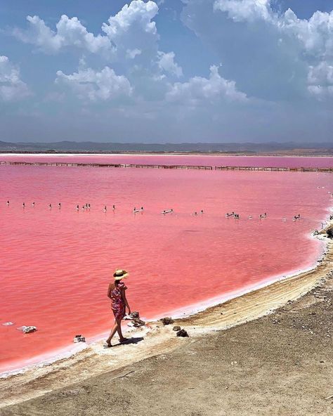 Colombia’s Pink Sea in Galerazamba Colombia Travel (@colombia.travel) • Instagram photos and videos Cartagena Colombia Travel, Backpacking South America, Backpacking Asia, Caribbean Culture, Beautiful Landscape Photography, Pink Sea, Colombia Travel, Rooftop Pool, Cool Pools