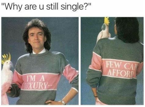 15 Amusing Memes For The Cynical Single Person - Memebase - Funny Memes Why Are You Single, Sweet Memes, Single Girl Quotes, Why Im Single, Single Memes, Single Quotes Funny, Single Humor, Still Single, Single People