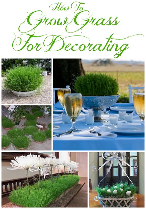 Golf Theme Bar, Wheat Grass Centerpiece, Baseball Banquet, Golf Themed Party, Grass Centerpiece, Rye Grass, Soccer Banquet, Derby Ideas, Growing Grass