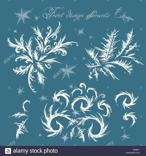 Frost Illustration Art, Winter Foliage Illustration, Icicles Drawing, How To Draw Ice, Winter Pattern Illustration, Winter Illustration Design, Ice Character Design, Frost Painting, Frost Illustration