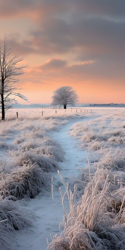 Unconventional Wisdom January Background, Landscape References, Beautiful Winter Scenes, Winter Sunrise, Iphone Wallpaper Landscape, Ios Wallpaper, Winter Sunset, Landscape Art Painting, Winter Wallpaper