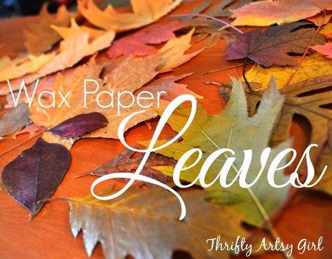 Hometalk | How to Easily Preserve Fall Leaves With an Iron and Wax Paper Preserving Leaves Wax Paper, Preserve Leaves Wax Paper, How To Wax Leaves, Leaves Wax Paper Iron, What To Do With Fall Leaves, Leaves In Wax Paper, Wax Paper Leaves, Waxing Leaves, Waxed Leaves