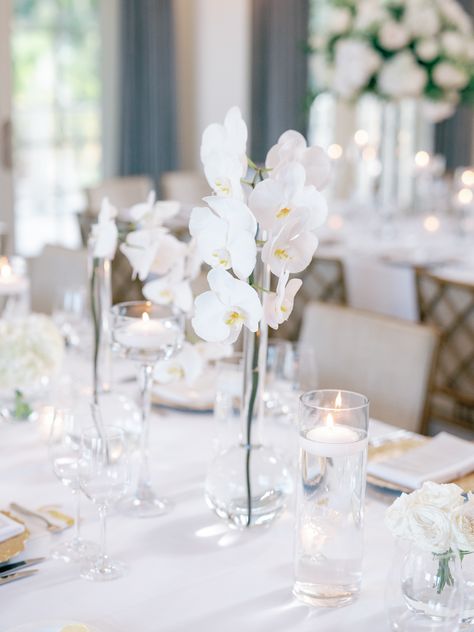 Transform your wedding tablescape with a stunning centerpiece that embodies elegance and modernity! Picture clean white linens draping effortlessly over tables, complemented by breathtaking clear vases filled with delicate orchids. This arrangement not only adds sophistication but also creates a serene atmosphere that every modern bride dreams of. Let your vision come to life! 

#WeddingInspiration #ModernBride #OrchidCenterpieces #ElegantWeddings #WeddingDecor #BridalStyle #TablescapeDesign Orchid Wedding Table Decor, White Orchid Wedding Decor, Orchid Arrangements Wedding, Orchid Wedding Decor, Orchid Centerpieces Wedding, Wedding Centerpeices, White Linens, Orchid Centerpieces, Palmetto Bluff