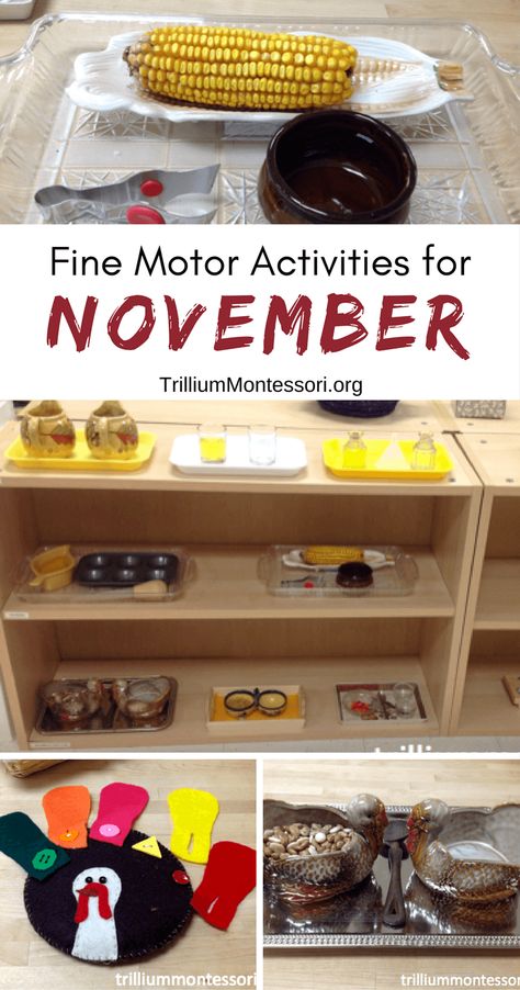 Preschool and fine motor activities for November and fall theme November Montessori, Fall Montessori Activities, November Crafts Preschool, Preschool November, November Preschool, Montessori Activities Preschool, November Activities, Practical Life Activities, November Crafts