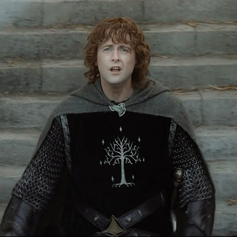 Pippin Lord Of The Rings, Pippin Took, Lotr Pippin, Merry Lotr, Pippin Lotr, Merry Brandybuck, Lotr Characters, Lotr Movies, Billy Boyd