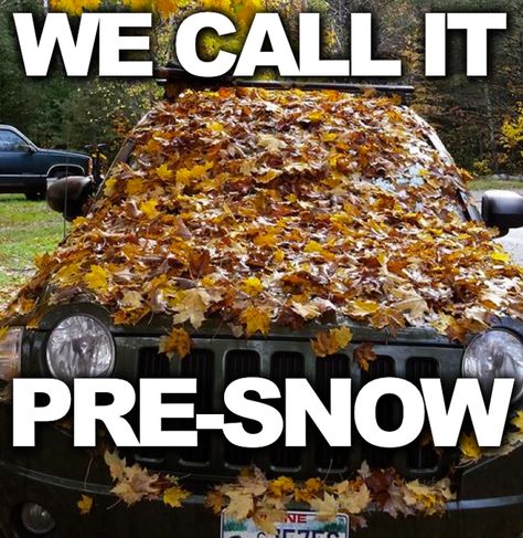 We Call It Pre-Snow fall fall Weather Memes, Fall Humor, Fall Memes, Autumn Quotes, Best Seasons, Fall Weather, Wiper Blades, Happy Fall, You Funny