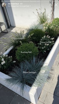 https://youtu.be/x_9FsCPw1bY Front Garden Planting Ideas, Moderne Have, Front Garden Landscape, Front Garden Design, Back Garden Design, Grasses Landscaping, Led Band, Modern Garden Design, Front Porch Christmas Decor Ideas