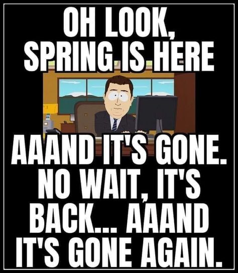 Spring Jokes, Winter Humor, Weather Memes, Funny Weather, Weather Quotes, Spring Quotes, Jokes And Riddles, Spring Weather, March 19