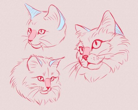 Cat Hand Drawing, Cat Drawing Tutorial, Cats Art Drawing, Cat Anatomy, Cat Hand, Cat Sketch, Animal Study, Warrior Cats Art, Animal Anatomy