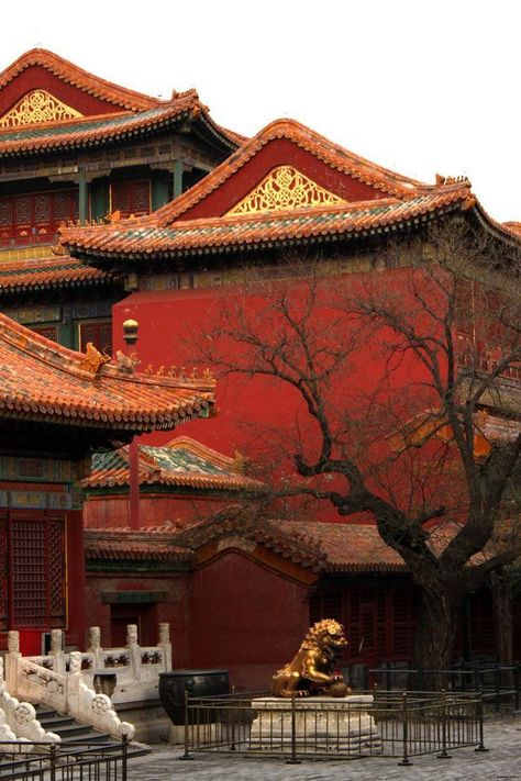 21 Amazing Images Forbidden City, Beijing, China China Forbidden City, Qing Dynasty Palace, Beijing Forbidden City, Forbidden Palace, Forbidden City Beijing, Chinese Palace, Imperial China, Starbucks Store, The Forbidden City