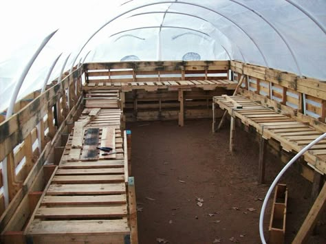 Pallet Wood Greenhouse, Greenhouse Using Pallets, Pallet Green House Diy, Pallet Homestead Projects, Pallet Greenhouse Diy, Greenhouse Pallet, Greenhouse And Chicken Coop, Building With Pallets, Pallet Greenhouse