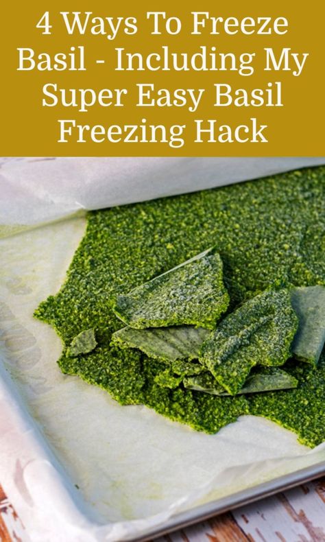 Preserving Basil Frozen, Storing Veggies, Preserving Basil, Freezing Fresh Herbs, Preserve Fresh Herbs, Fresh Basil Recipes, Drying Fresh Herbs, Freezing Herbs, Preserving Herbs