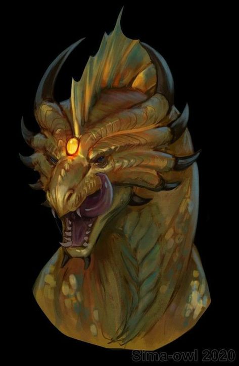 Bronze Dragon, Sketch Portrait, Dnd Dragons, Dragon Sketch, Fantasy Beasts, Monster Concept Art, Dragon Pictures, Dungeons And Dragons Characters, Dnd Art