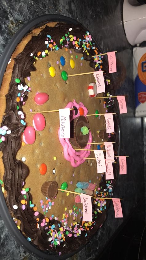 Cell Model Project Ideas Edible, Cell Models Project, Cell Replica Project, Animal Cell Project 3-d, Edible Animal Cell Project Ideas, Cell City Project Ideas, Edible Plant Cell Project, Animal Cell Project Ideas Models, Edible Animal Cell Project