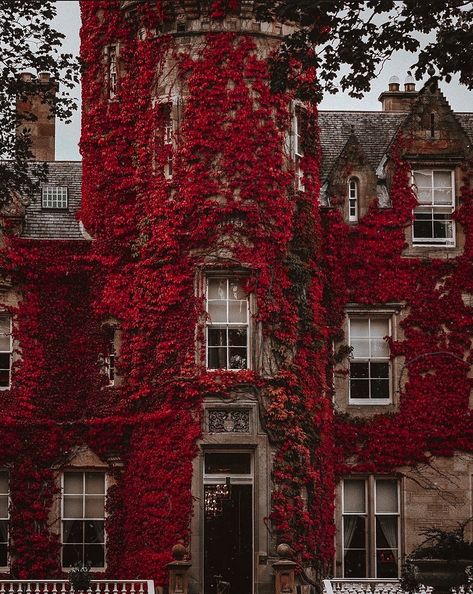 Dark Academia House Exterior, Bedroom Dark Academia, Red Castle, Dark Naturalism, Academia Aesthetics, Victorian Bedroom, Autumn Scenery, Beautiful Houses, Cozy Mysteries