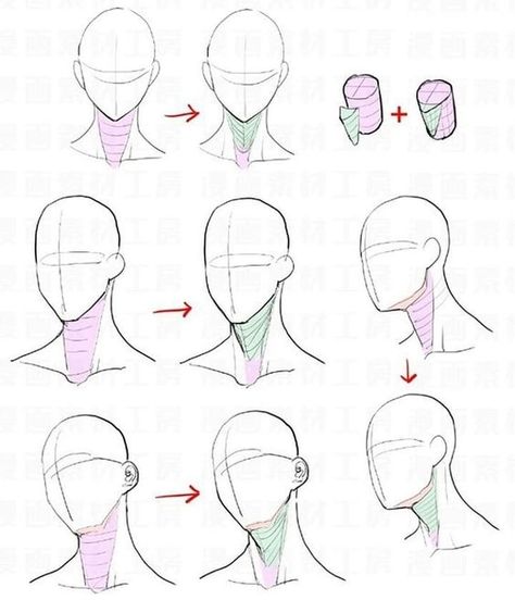 Como hacer la sombra en el cuello Neck Drawing, Head Anatomy, Manga Drawing Tutorials, Drawing Heads, Human Figure Drawing, Different Angles, Anatomy Drawing, Figure Drawing Reference, Anatomy Reference