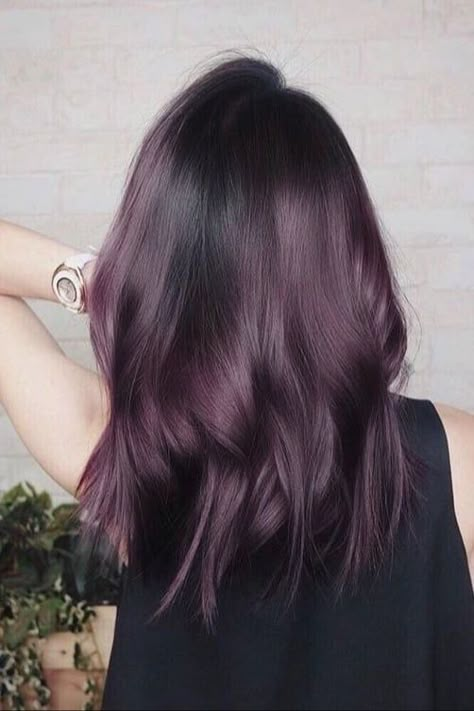 Eggplant Hair Color Trend Eggplant Colored Hair, Eggplant Hair, Blackberry Hair Colour, Dark Purple Hair, Hair Color Purple, Hair Trend, Hair Color Blue, Penteado Cabelo Curto, Hair Color And Cut