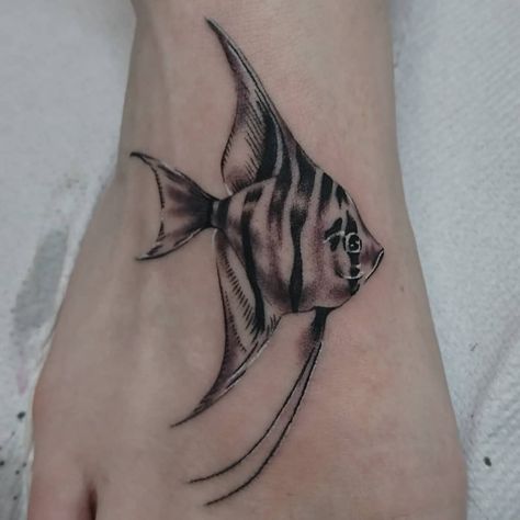 Angelfish Tattoo, Simple Angelfish Tattoo, Small Angelfish Tattoo, angelfish tattoo ideas, angelfish tattoo small, angelfish tattoo designs, angelfish tattoo on thigh, outline angelfish tattoo, angelfish tattoo behind ear, angelfish tattoo men, angelfish tattoo design, female angelfish tattoo, angelfish tattoo color, angelfish tattoo black, small fish tattoo,simple fish tattoo, big fish tattoo, black fish tattoo,traditional fish tattoo,fish girl drawing,chinese fish tattoo,tiger angelfish tattoo Chinese Fish Tattoo, Tropical Fish Tattoo, Angel Fish Tattoo, Fish Tattoo Women, Angelfish Tattoo, Big Fish Tattoo, Black Fish Tattoo, Fish Tattoo Black, Simple Fish Tattoo