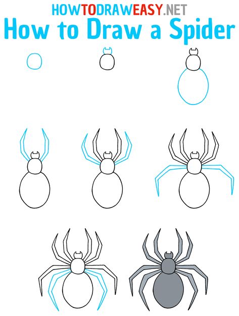 How to Draw a Spider Step by Step #Spider #SpiderDrawing #HowtoDrawEasy #HowtoDrawSpider #EasytoDrawaSpider #DrawingGuides #EasyDrawingGuides #SimpleDrawings #HowtoDrawaSpiderEasy #HowtoDrawanEasySpider #SpiderMan #Sketching #Animals Spider How To Draw, Spider Tutorial, How To Draw Cobwebs, Drawing A Spider Web, How To Draw Webs, Spiders Drawing Simple, Spidey Drawings Easy, Drawing A Spider, How To Sketch Spiderman