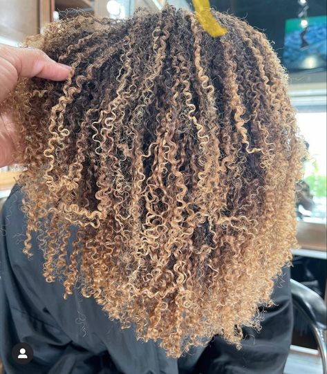 Type 4 hair, 4b curls, full balayage, highlights IG @nessaxpaige Balayage On Coily Hair, 4b Colored Hair, Honey Blonde Type 4 Natural Hair, 4c Hair Balayage, Blonde Highlight Natural Hair Black Women, Balayage Coily Hair, Bronde Balayage Natural Curly Hair, Afro With Blonde Highlights, Honey Blonde Balayage On Dark Hair Curly