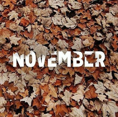 November Tumblr, November Welcome, November Hello, November Backgrounds, November Pictures, November Images, Welcome August, Welcome November, November Quotes