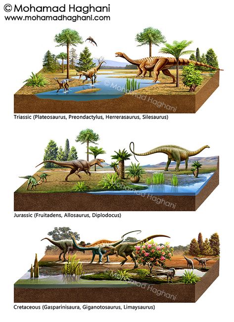 Mesozoic ( Triassic, Jurassic, Cretaceous ) on Behance Jurassic Plants, Fossil Museum, Mesozoic Era, Science Models, Fish Gallery, Prehistoric Wildlife, Cretaceous Period, Dinosaur Pictures, Prehistoric World