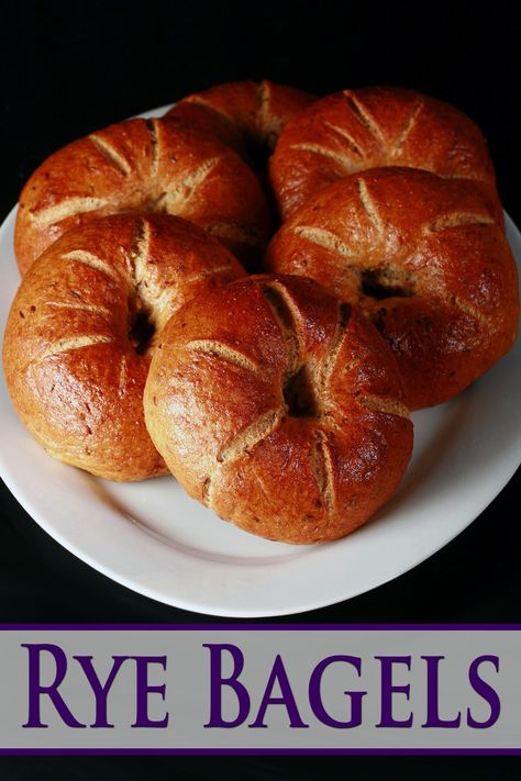 Rye Bagel Recipe, Rye Flour Recipes, Bagels Recipe Homemade, Small Batch Bread, Bagel Bake, Rye Bagels, Bagels And Cream Cheese, Types Of Bagels, Savory Rolls