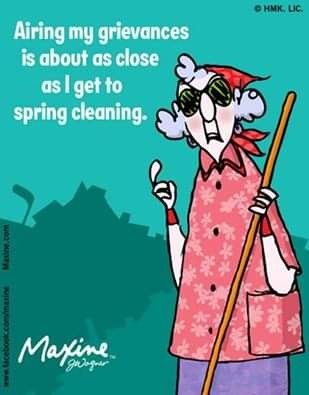 Cleaning Humor, Spring Cleaning Quotes, Cleaning Quotes Funny, Spring Pictures, Are You Serious, Cows Funny, Clean Humor, Spring Fever, Cabin Fever