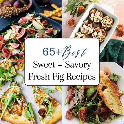 65 Best Sweet And Savory Fig Recipes For Fresh Figs Recipes That Use Fresh Figs, What Can I Do With Fresh Figs, Savory Fruit Recipes, Savory Fig Recipes, Healthy Fresh Fig Recipes, Fig Bread Recipe Fresh, Fig Recipes Healthy, Savory Fig Dishes, Fresh Fig Recipes