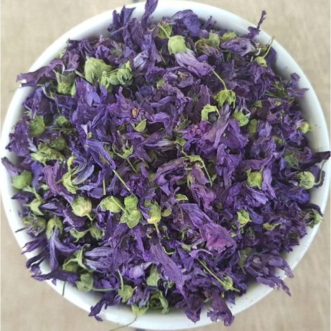 Mauve Sylvestre, Mugwort Herb, Mallow Flower, Raspberry Leaf Tea, Achillea Millefolium, Clover Flower, Tea Tasting, Best Tea, Ornamental Plants