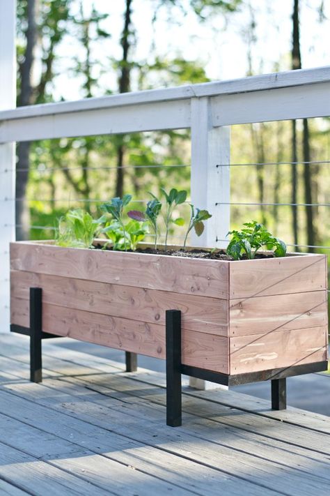 How to Build and Grow a Salad Garden On Your Balcony | eHow | eHow Diy Wood Planter Box, Salad Garden, Diy Wood Planters, Apartment Balcony Garden, Balcony Planters, Diy Planter, Beautiful Salad, Cedar Planters, Custom Planters