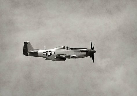 3,100+ World War 2 Fighter Planes Stock Photos, Pictures & Royalty-Free Images - iStock Plane Reference, Ww2 Photography, Aviation Inspiration, Ww2 Fighter Planes, Airplane Silhouette, Book Thief, Vintage Mustang, Wwii Airplane, Old Planes