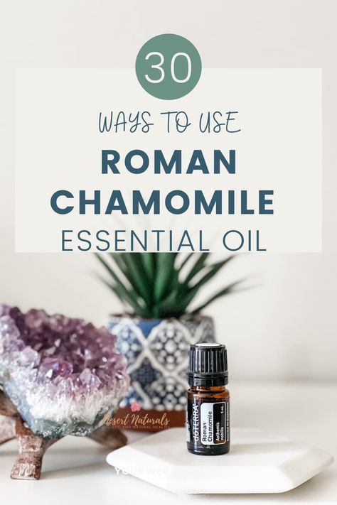 Snag a list of 30 ways to use Roman Chamomile essential oil. Plus learn about the emotional and physical benefits of Roman Chamomile. This essential oil is super calming and very popular. Not sure how to use it? this checklist is what you need. Roman Chamomile is very calming to both our body and our minds. Learn how to use this essential oil and get the max benefits from it. You'll also get access to diffuser blends, DIY recipes and roller ball recipes for Roman Chamomile essential oil. via Roman Chamomile Essential Oil Benefits, Chamomile Essential Oil Benefits, Roller Ball Recipes, Chamomile Recipes, Chamomile Tea Recipe, Clearing Spray, Roman Chamomile Essential Oil, Floral Essential Oils, Ball Recipes