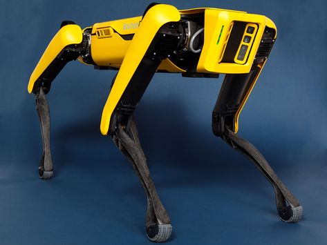 Boston Dynamics' Spot Robot Dog Goes On Sale IEEE Spectrum - IEEE Spectrum Robot Ideas, Boston Dynamics, Robot Dog, Robot Animal, Big Robots, Dog Movies, Mobile Business, Business Trends, Dog Projects