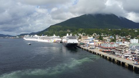 Island Princess, Norwegian Pearl, Holland America Zaandam and Holland America Oosterdam all in port in Ketchikan AK. As we left, a Celebrity ship was coming in.  Busy day! Norwegian Pearl, Island Princess, Holland America, Cruise Ships, Busy Day, Cruise Ship, Holland, This Is Us, Ships