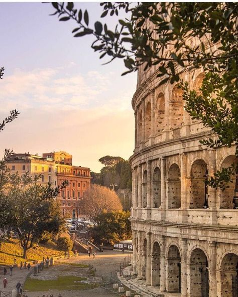 Roma Italy Aesthetic, Overseas Aesthetic, Italy Colloseum, Rim Italy, Colosseum Aesthetic, Rome Colloseum, Rome Italy Aesthetic, Rome Aesthetic, Rome Photography