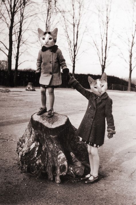 Cat People, Animal Heads, Disney Films, Vintage Cat, Crazy Cat Lady, Crazy Cats, Cat Love, Cool Cats, A Tree