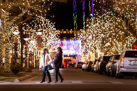 Cherry Creek Holiday Market Holiday Market, Local Business, Outdoor Events, Twinkle Lights, Holiday Destinations, Save The Date, Denver, Pop Up, Holiday Season