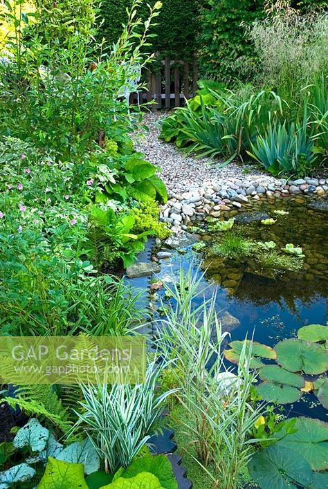 Heather Gardens, Wildlife Pond, Ponds For Small Gardens, Serenity Garden, Bog Garden, Backyard Garden Layout, Gravel Garden, Pond Design, Wildlife Gardening