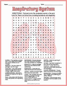 Respiratory System Worksheet Pdf Luxury Respiratory System Worksheet Pack by Rahmich Teaching | Chessmuseum Template Library Respiratory Care Week Games, Respiratory System Worksheet, Respiratory Care Week, Medical Terminology Games, Respiratory System Anatomy, Separating Mixtures, Human Respiratory System, Chemical And Physical Changes, Muscle System