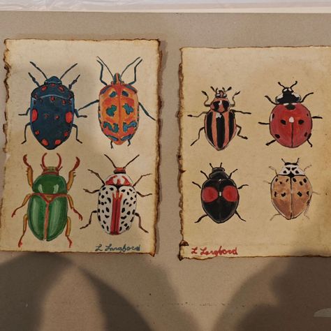 Adventures in gouache: Beetles Edition! I pulled out my gouache paint after months away from it, and fell in love all over again. I've been using it to paint these little insect studies and I can't stop. 🖌️🎨 They are painted on cold pressed cotton paper that absorbs the paint so beautifully. I've painted dragonflies, beetles, and moths. Looking forward to painting more . 🪲🐝🐞🦋 #insects #beautifulbeetles #autismfamily #utahartist #shoplocal #smallbusinessowner #painterly #miraculousladybu... Beatle Paintings Insect, Pol Gogen, Paint Pen Designs, Dragonfly Art Painting, Bug Paintings, Painted Dragonflies, Bug Painting, Beetle Painting, Insect Painting